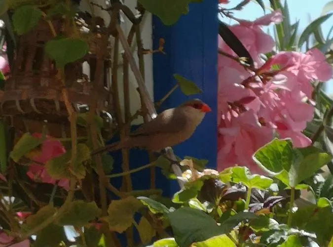 Yumbo Отель типа 