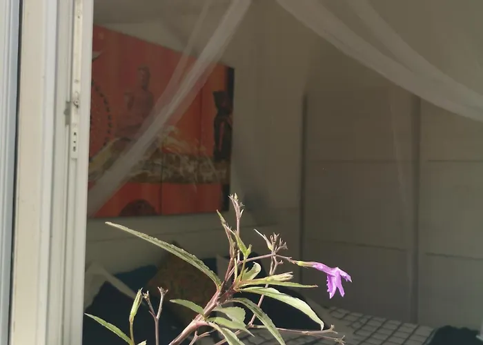 Yumbo Отель типа 