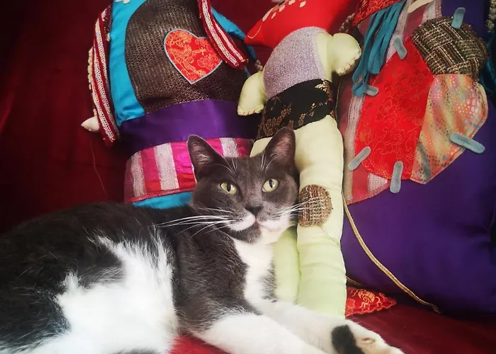 Yumbo Отель типа 