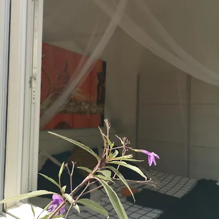 Yumbo Bed and breakfast Maspalomas (Gran Canaria)